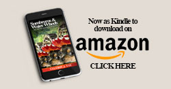 Sombreros and Water Wheels: AYM Kindle Edition