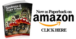 Sombreros and Water Wheels: The World Of AYM in Paperback