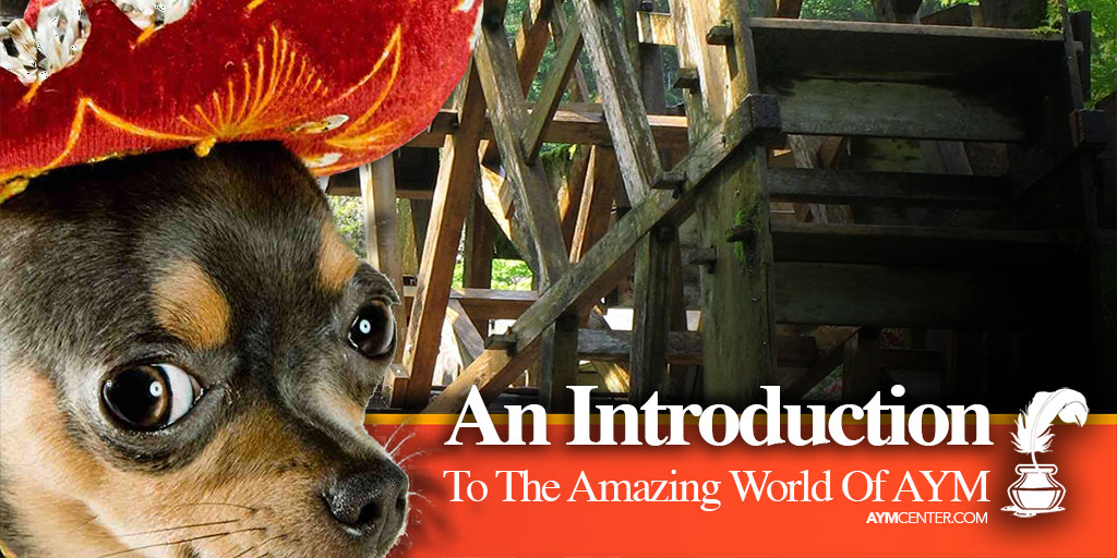 Welcoming you to the Amazing World of AYM